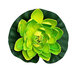 Лилия плавающая 18х18 см лайм