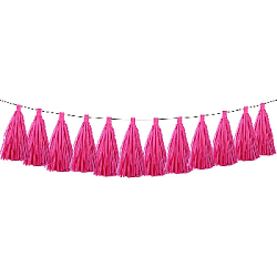 Гирлянда тассел 12 кисточек по 10 листов, амарантовый