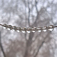 photo-2985816