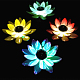 photo-2931565