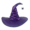 Шляпа Ведьмы с пауком №2, фиолетовый