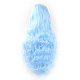 photo-2931036