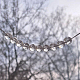 photo-2985851