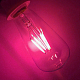 photo-2983066