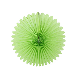 Фант 30 см светло-зеленый