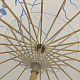 photo-2976710