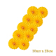 photo-2935509