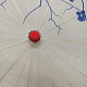 photo-2976709