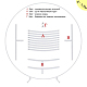 photo-2986637